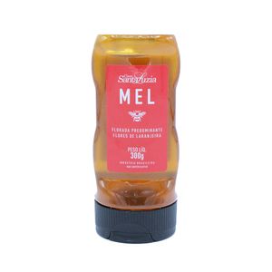 Mel Laranjeira Bisnaga Santa Luzia 300g