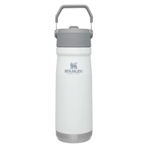 Garrafa Térmica Flip Straw Polar Stanley 651ml