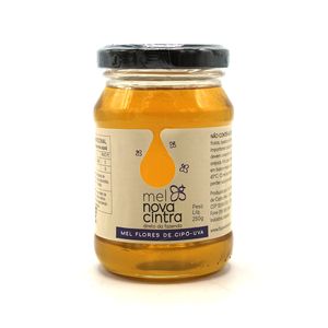 Mel Flores de Cipó-Uva Nova Cintra 250g
