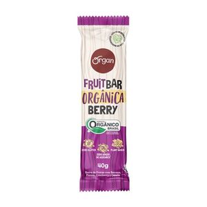 Barrinha de Frutas com Banana, Passas, Cranberry e Canela Organ 40g