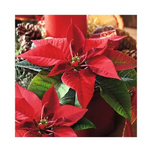 Guardanapo Decorado Natal Flor Vermelha 33cm