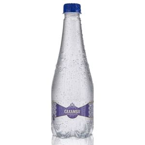 Água Mineral Sem Gás Caxambu 330ml