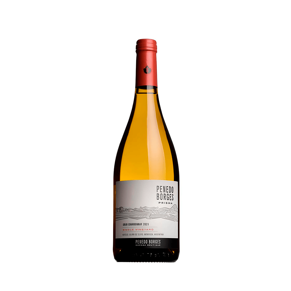 Vinho Penedo Borges Branco Seco Argentina Gran Chardonnay 750ml