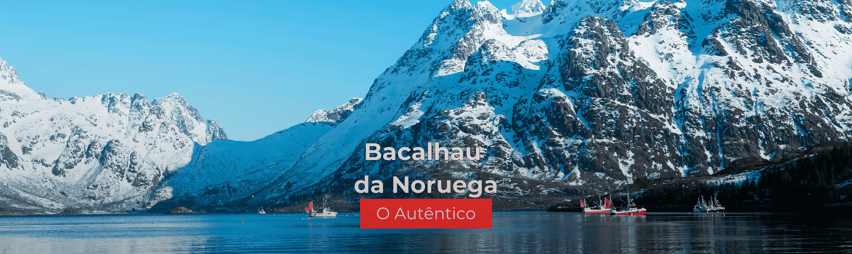 bacalhau 2